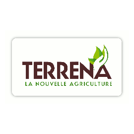 terrena